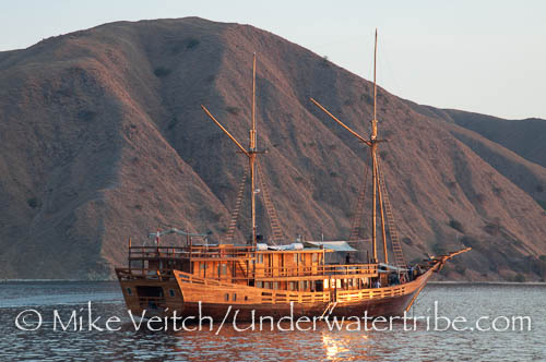 Komodo2011MV-161